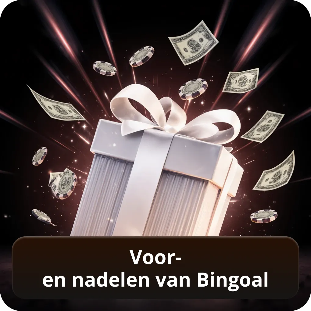 Voor- en nadelen van Bingoal